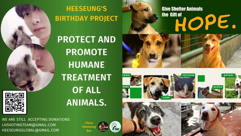 Animal Rehabilitation